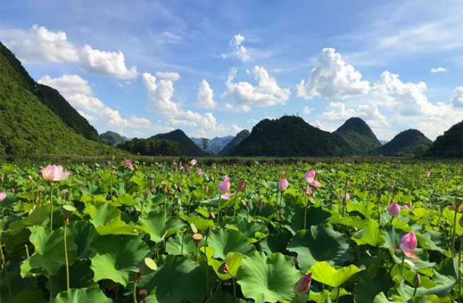 薇莎床墊|深圳市卡爾森家具有限公司